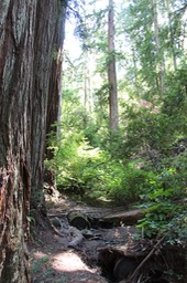 IMG_1837