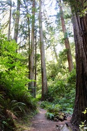 IMG_1839