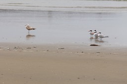 IMG_1852