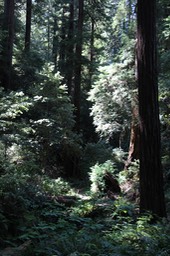 IMG_1855