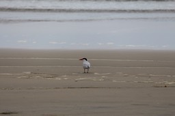 IMG_1859