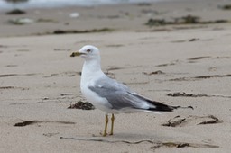 IMG_1873
