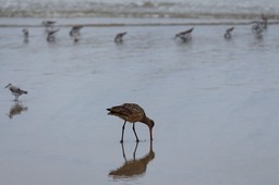IMG_1876