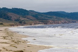 IMG_1880