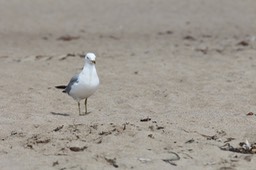 IMG_1894