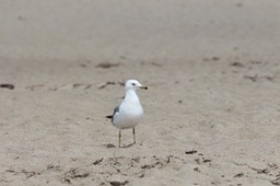 IMG_1895