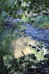 IMG_1914
