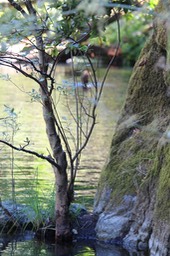 IMG_1951