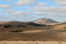 IMG_1992