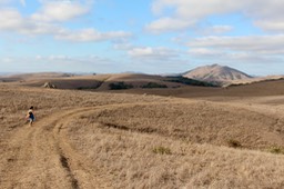 IMG_1994