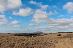 IMG_2000