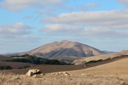 IMG_2001