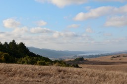 IMG_2002