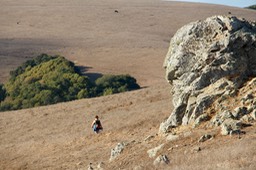 IMG_2013