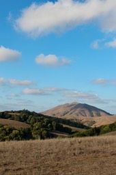 IMG_2025
