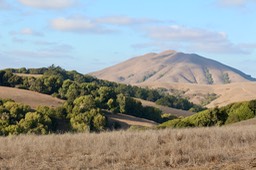 IMG_2026
