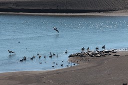 IMG_2056