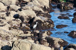 IMG_2073