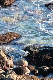 IMG_2089