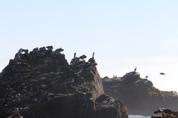 IMG_2156