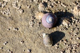 IMG_2167