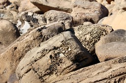 IMG_2169