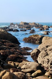 IMG_2177