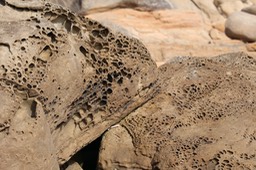 IMG_2181