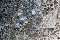 IMG_2230