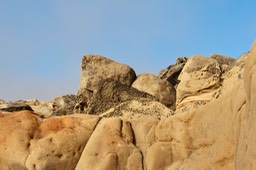 IMG_2282