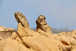 IMG_2287