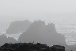 IMG_2308