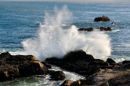 IMG_2327