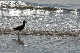IMG_2753
