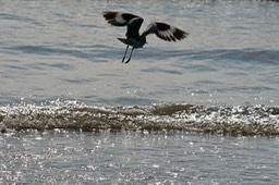 IMG_2754