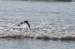 IMG_2755