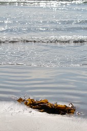 IMG_2756