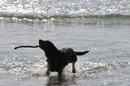 IMG_2768