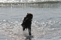 IMG_2769
