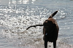 IMG_2770