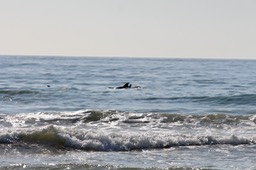 IMG_2779