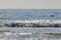 IMG_2782