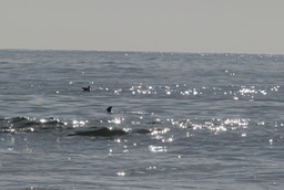 IMG_2787