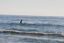 IMG_2790