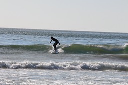 IMG_2802