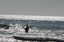 IMG_2808