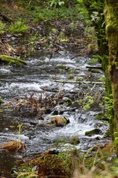 IMG_2840