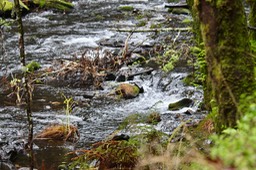 IMG_2841