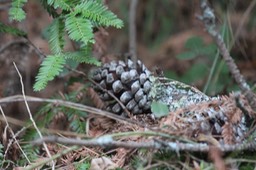 IMG_3016.jpg