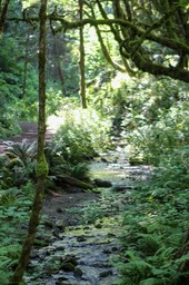 IMG_3029